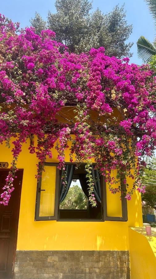 Bao Dien Guesthouse Bao Loc Exteriér fotografie